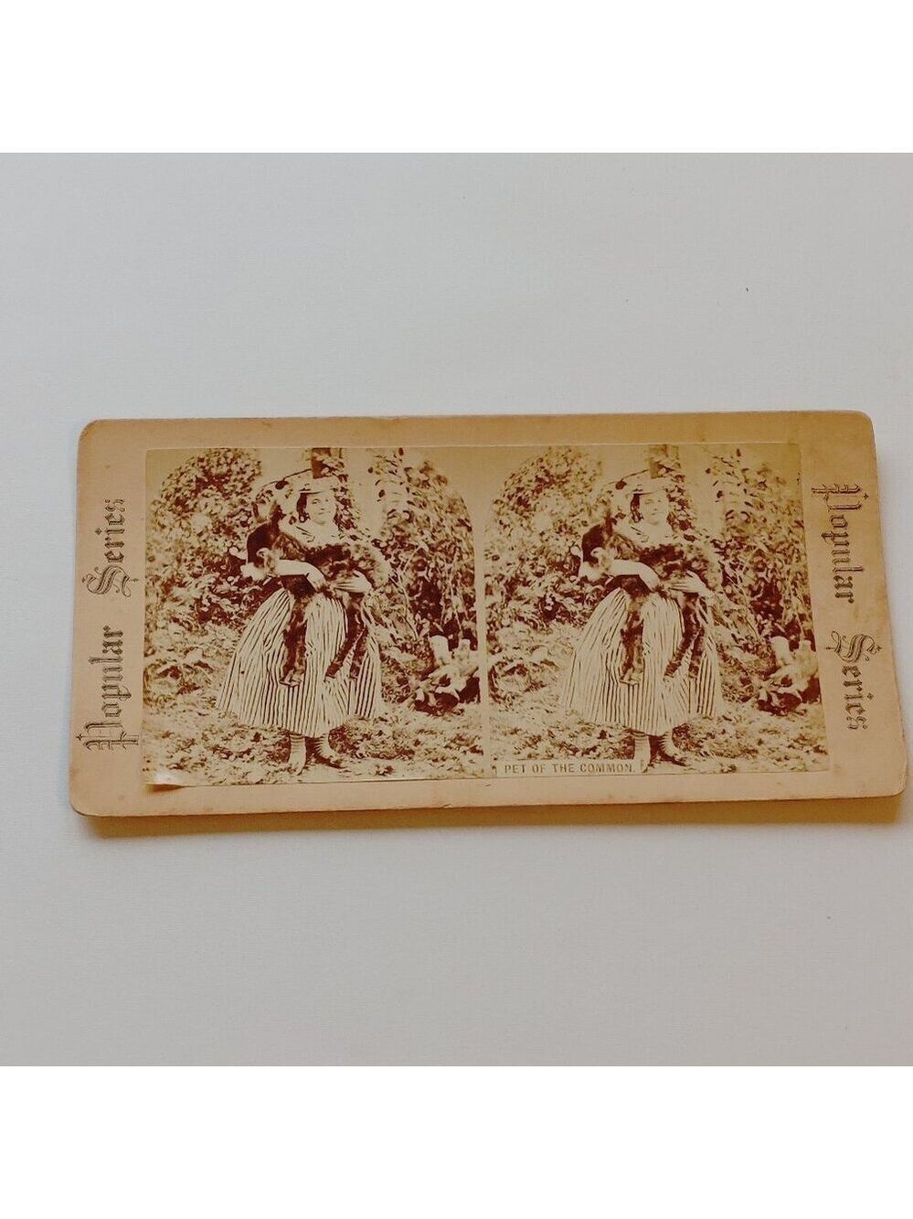 CUTE ANTIQUE STEREOGRAPH CARD Mary Had a Little Lamb Scene "Pet of the Common"